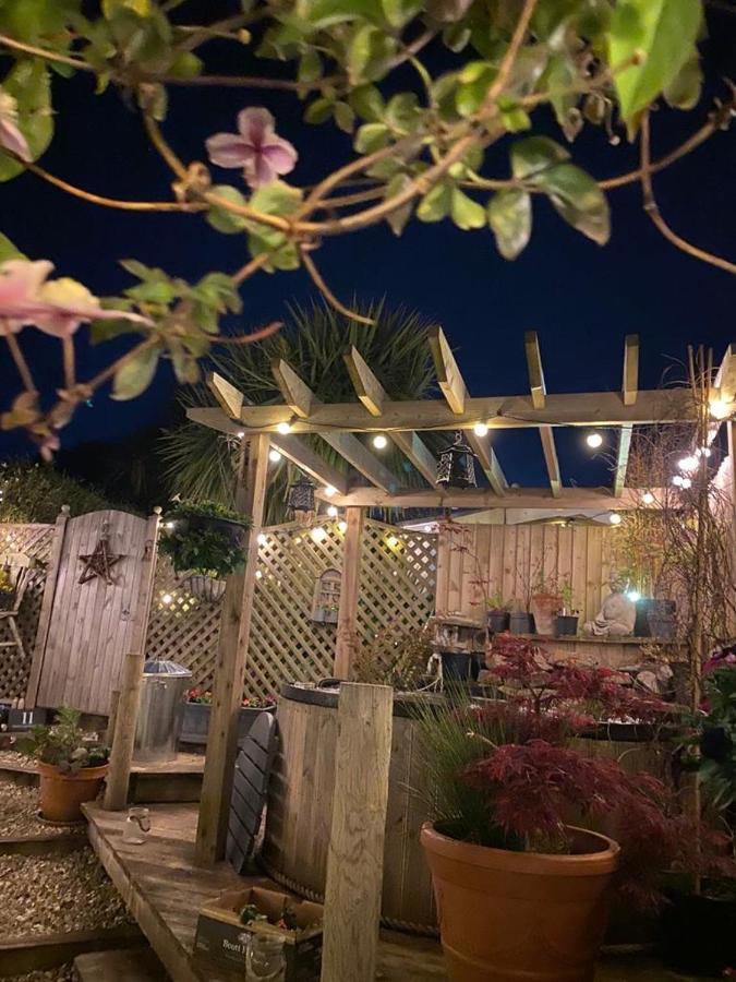Stargazy Garden Hayle