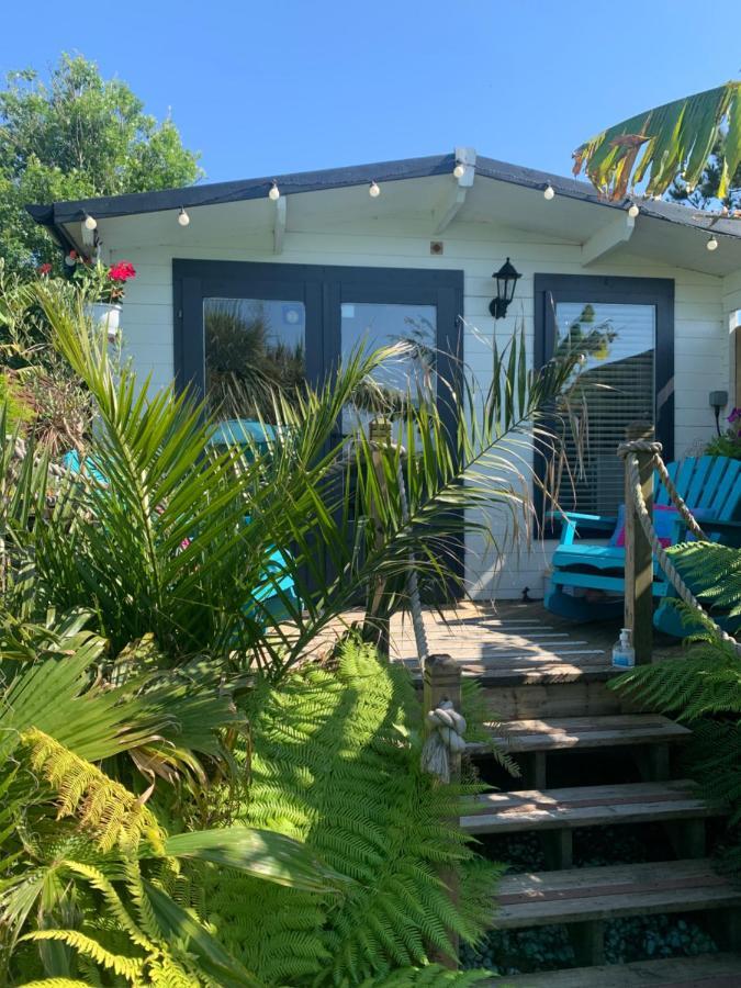 Stargazy Garden Hayle