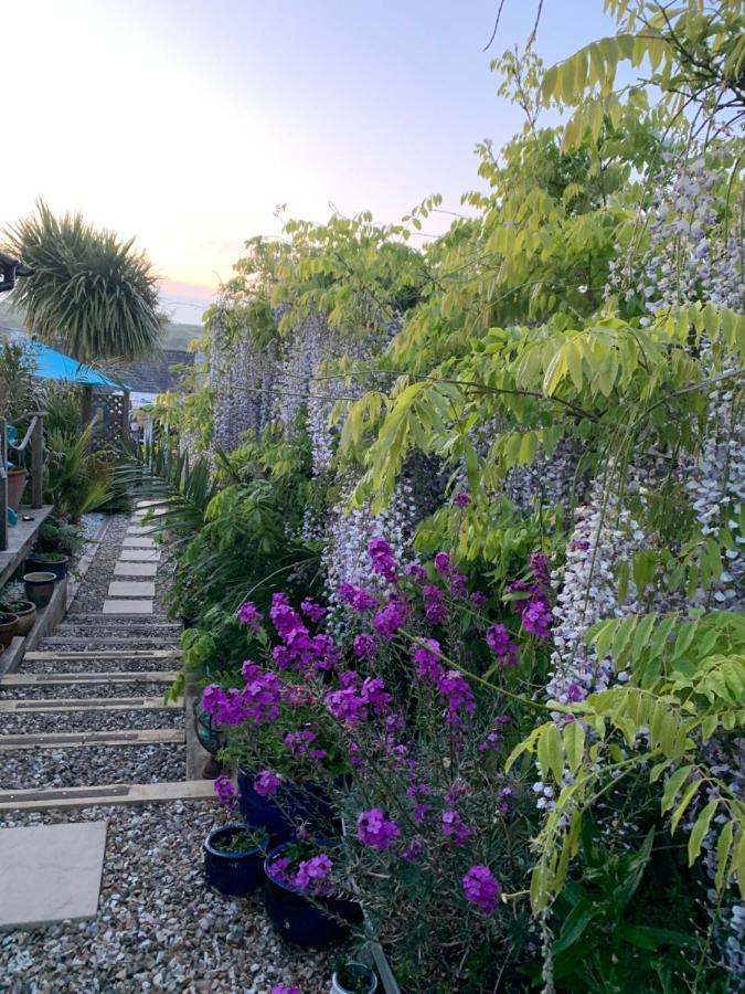 Stargazy Garden *
