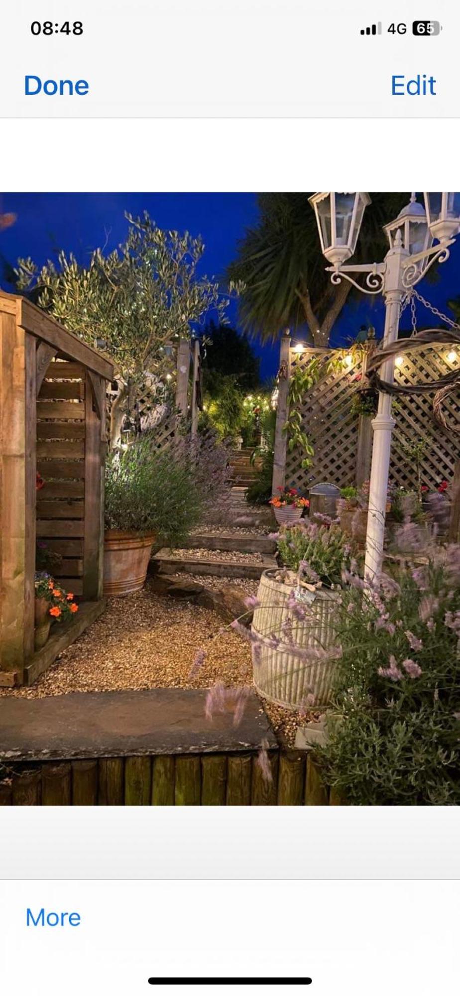 Stargazy Garden *